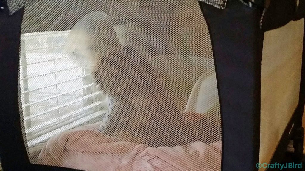 Grace in her new 'bedroom' after surgery