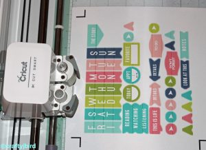Cricut Summer Planner Stickers - More info @ craftyjbird.com