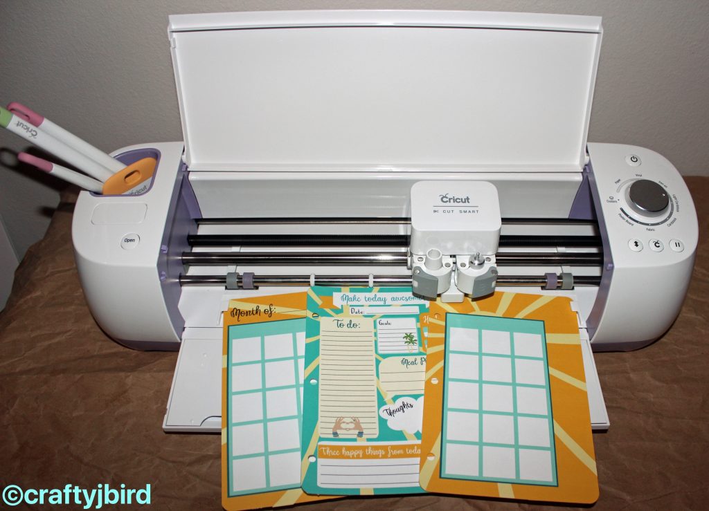 Visit craftyjbird.com to find out more on how to make these summer cute planner inserts!