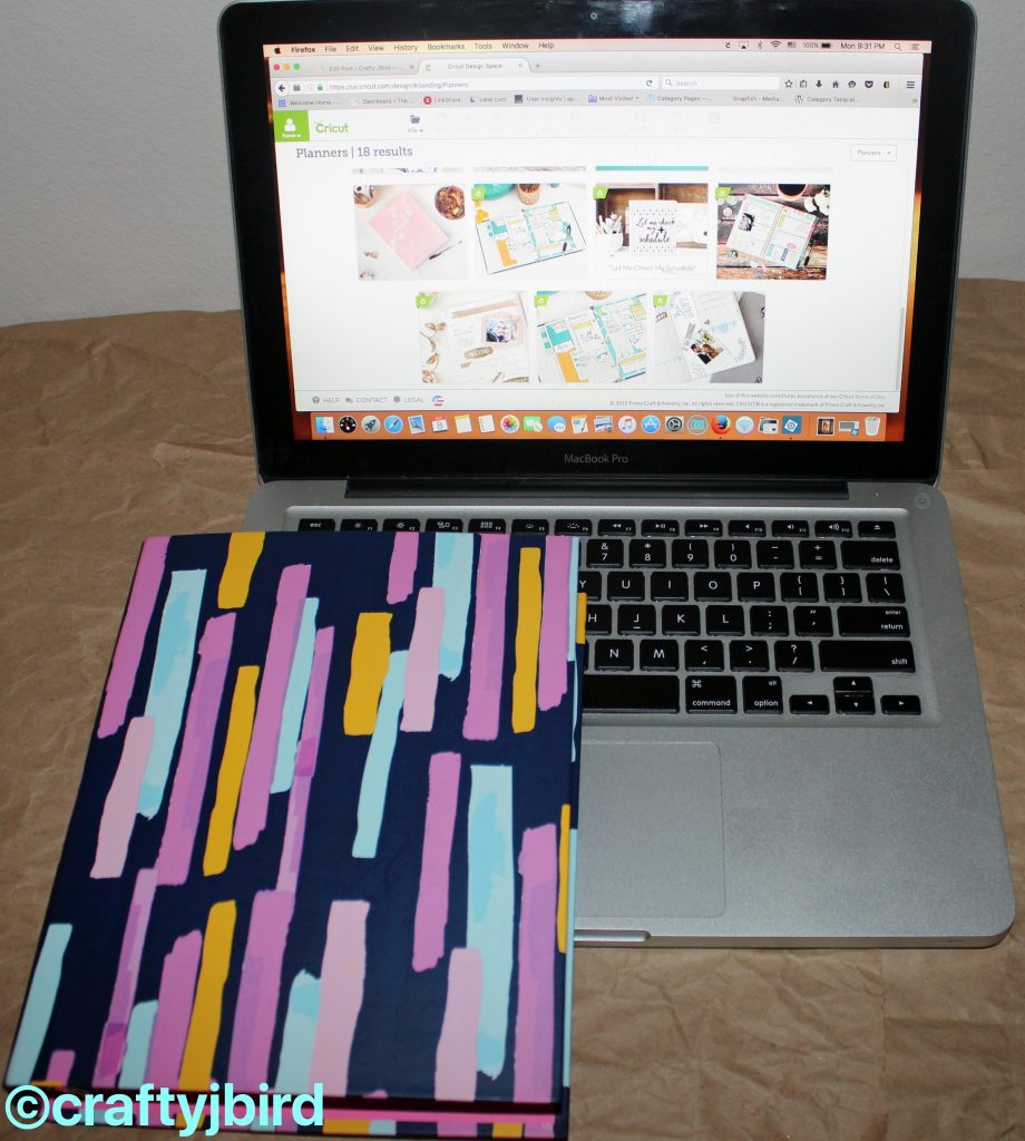 Cricut's Summer Planner Monthly Inserts and Stickers -- Visit craftyjbird.com to find out more on how to make these summer cute planner inserts!