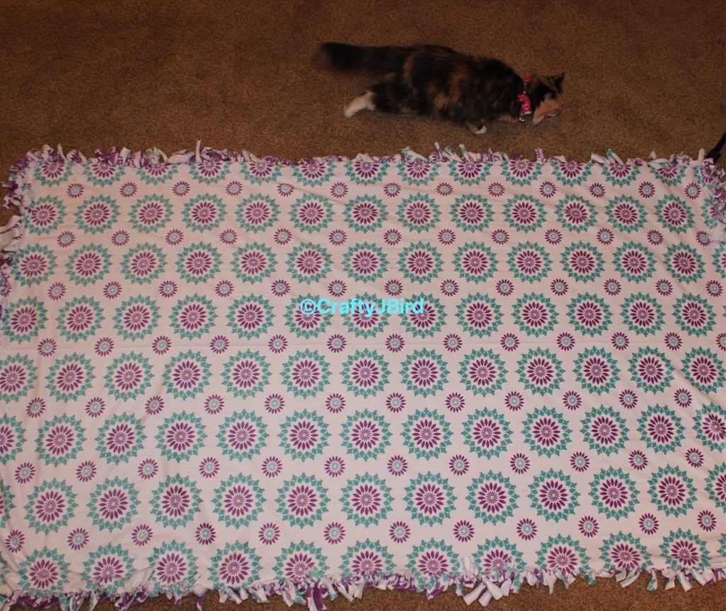 No-Sew Blanket -- Visit craftyjbird.com for more info