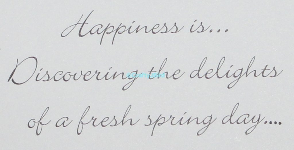 Happiness -- Visit CraftyJBird.com for more info