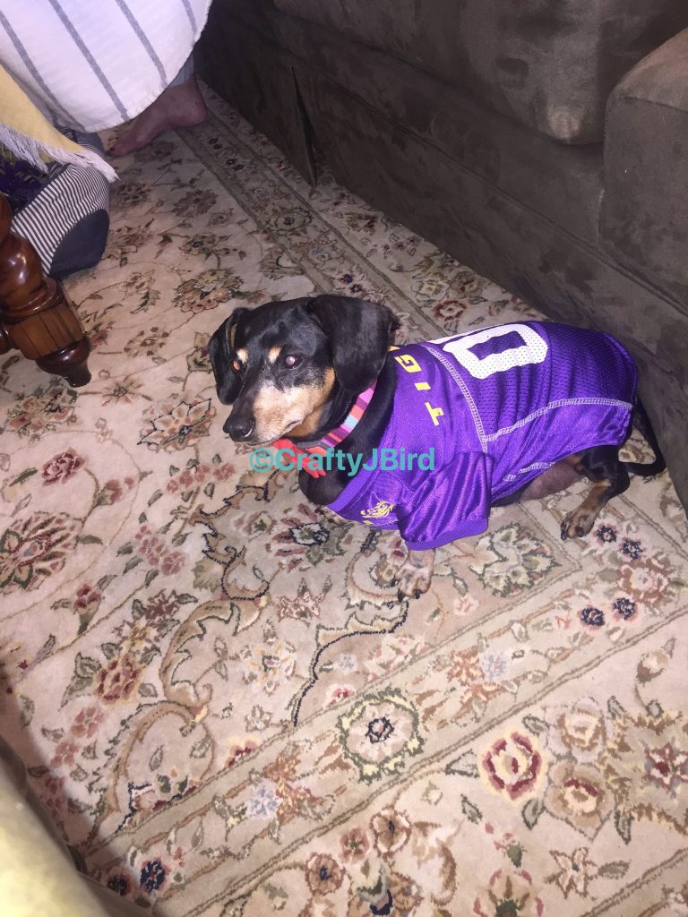 A Bird and A Dog -- Visit CraftyJBird.com for more info...