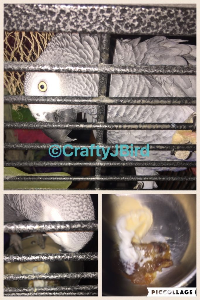 A Bird and A Dog -- Visit CraftyJBird.com for more info...