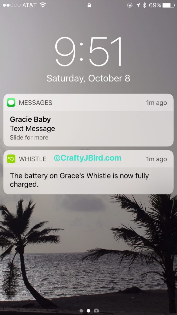 Final Pet GPS -- Visit CraftyJBird.com for more info... 