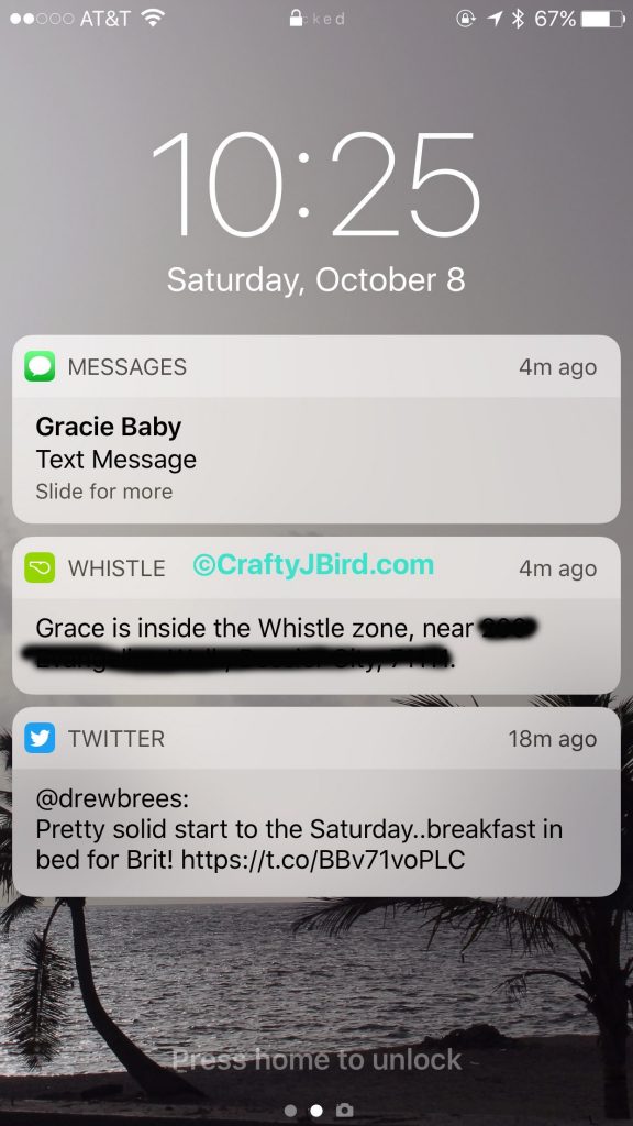 Final Pet GPS -- Visit CraftyJBird.com for more info... 
