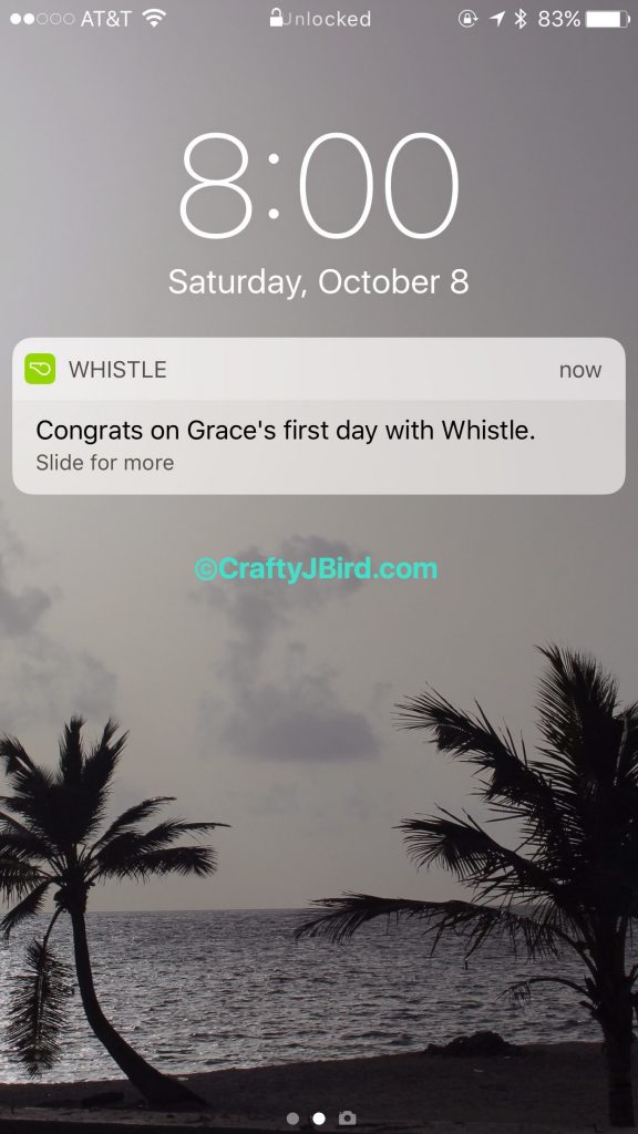 Final Pet GPS -- Visit CraftyJBird.com for more info... 