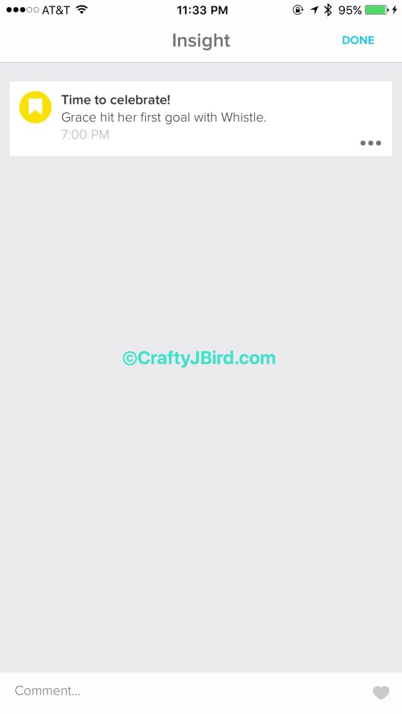 Final Pet GPS -- Visit CraftyJBird.com for more info... 