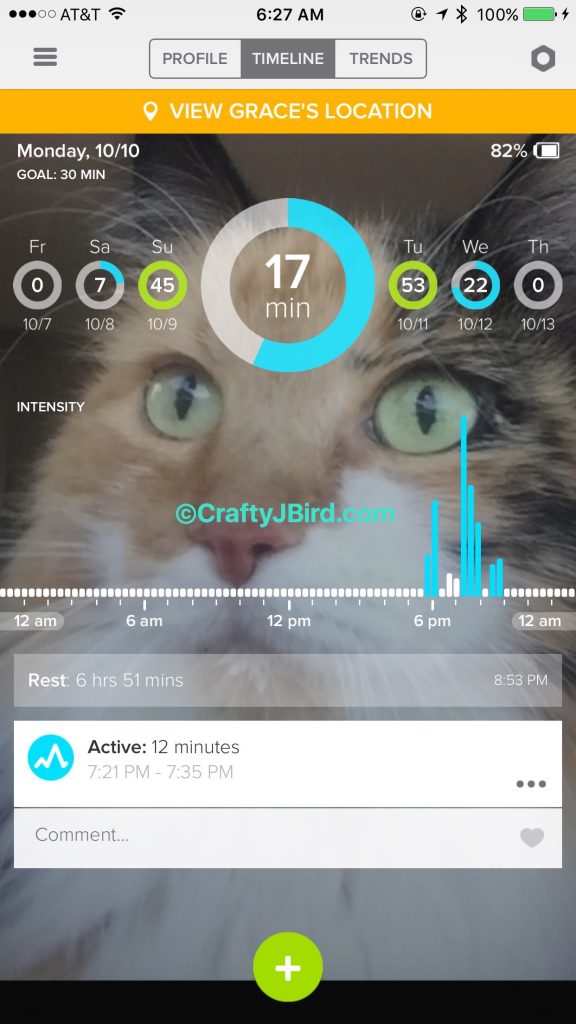Final Pet GPS -- Visit CraftyJBird.com for more info... 