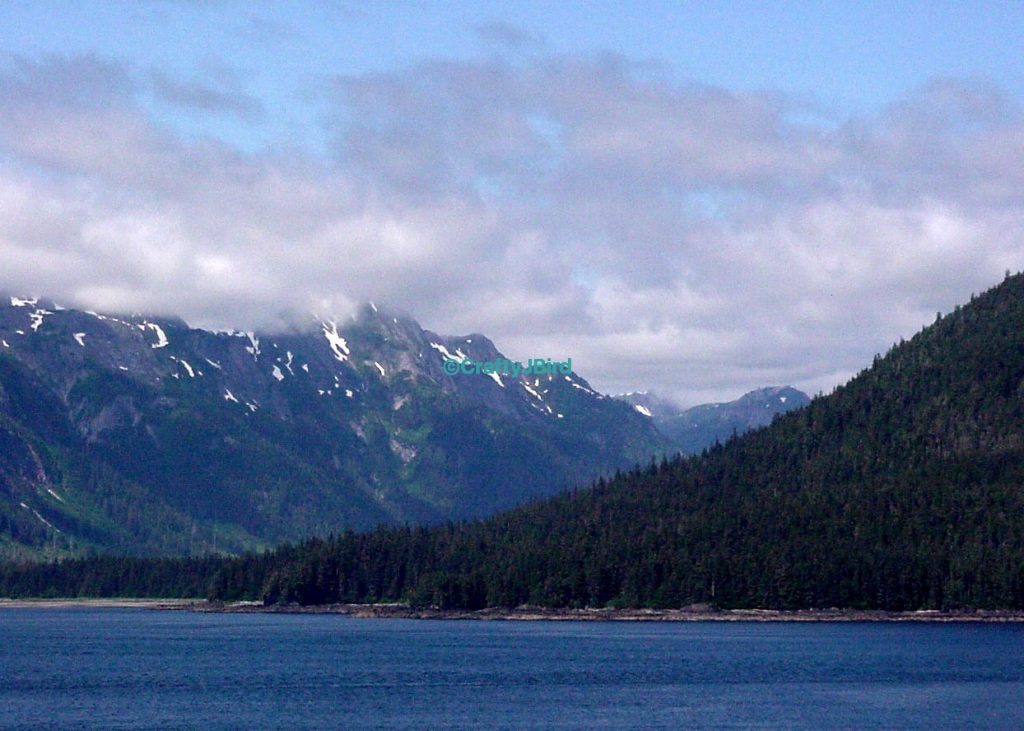 A Blast From the Past -- Visit CraftyJBird.com for more info...