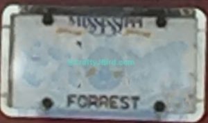 License Plate State Game -- Visit Craftyjbird.com for more info.. 