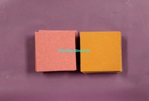 Best Friends Forever -- Visit CraftyJBird.com for more info... 