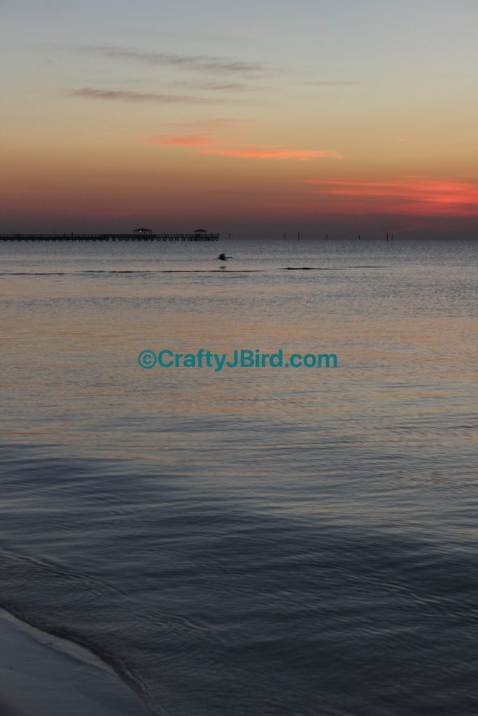 MS Gulf Coast Trip -- Visit CraftyJBird.com for more info...