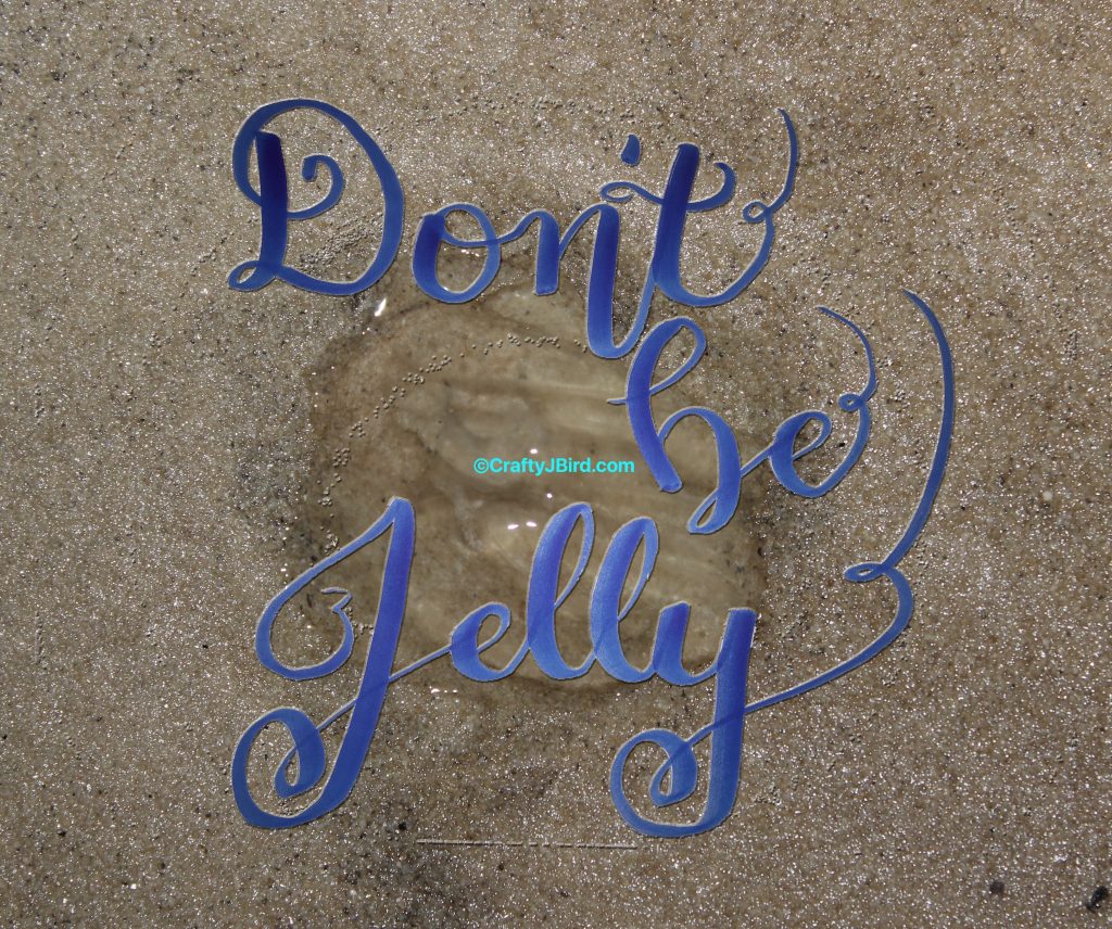 MS Gulf Coast Trip Pt 2 -- Visit CraftyJBird.com for more info...