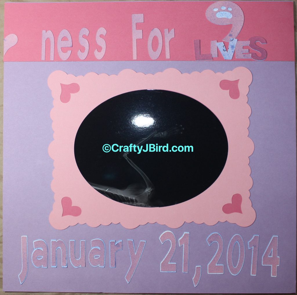 9 Lives -- Visit CraftyJBird.com for more info...