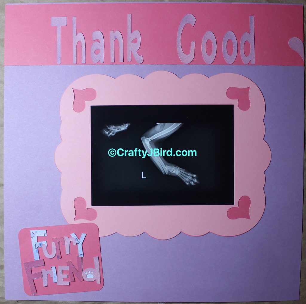 9 Lives -- Visit CraftyJBird.com for more info...