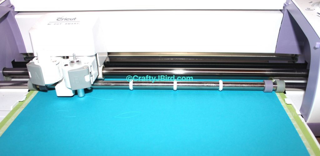 Mardi Gras Time -- Visit CraftyJBird.com for more info...