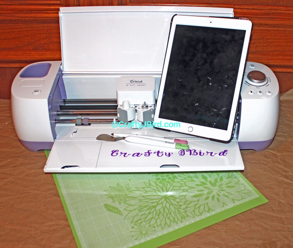 Valentines Card -- Visit CraftyJBird.com for more info...