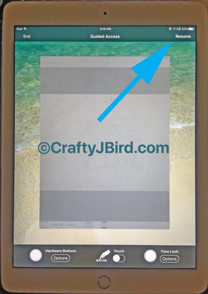 iPad Traceability -- Visit CraftyJBird.com for more info...