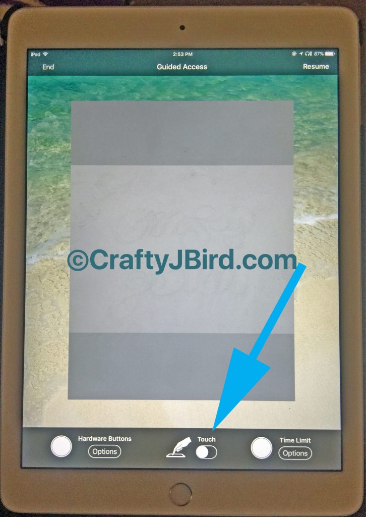 iPad Traceability -- Visit CraftyJBird.com for more info... 