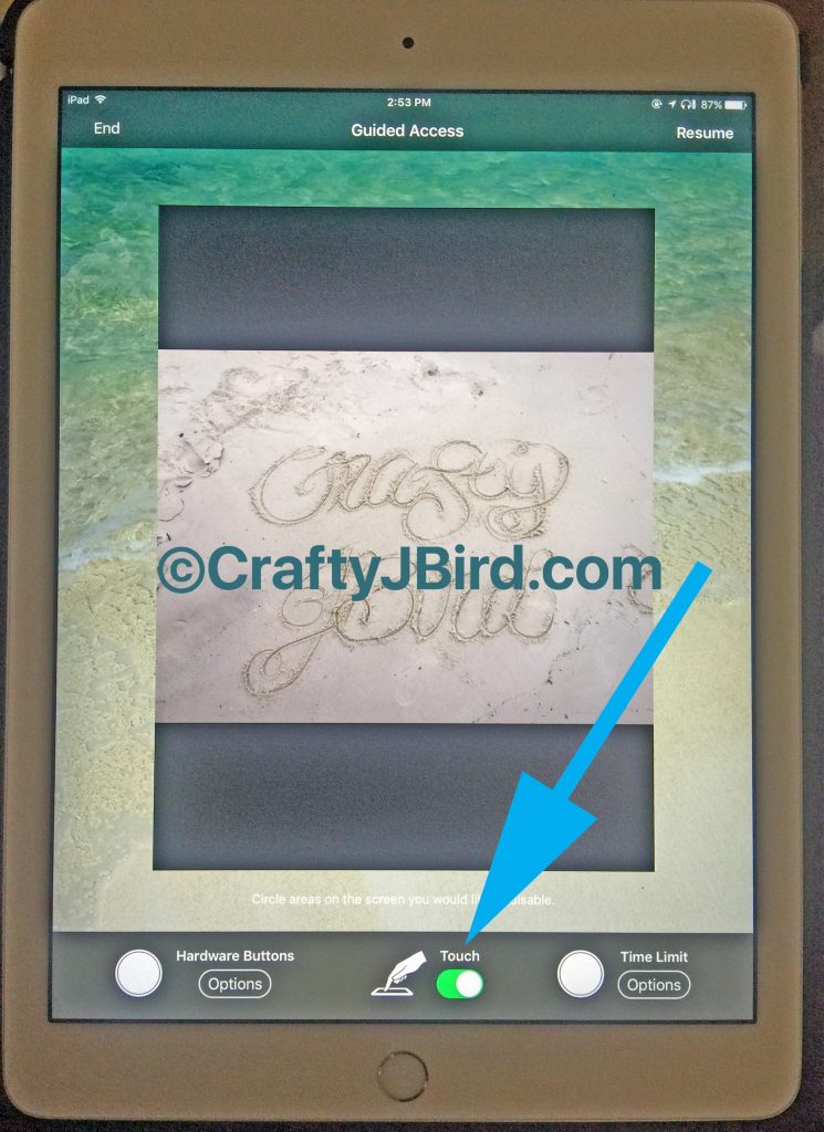 iPad Traceability -- Visit CraftyJBird.com for more info... 