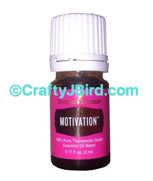 Study Roller -- Visit CraftyJBird.com for more info... 